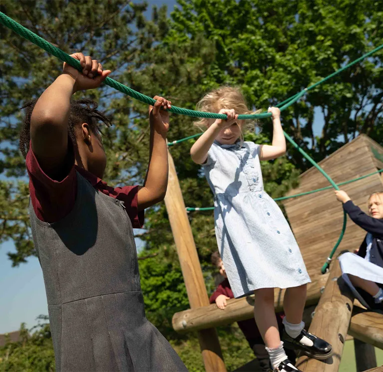 Primary schools image